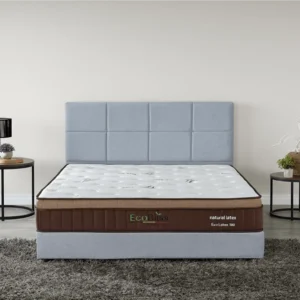 EcoLatex 100